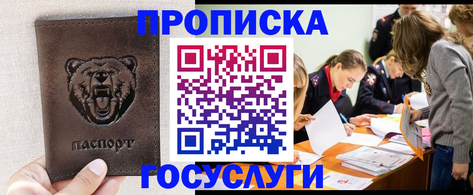 где прописаться в Каменск-Шахтинском